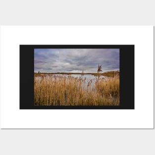 Rockland Broad, Norfolk Broads National Park Posters and Art